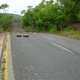 Bloqueo a la entrada de la carretera que lleva a Centralia. Wikimedia Commons